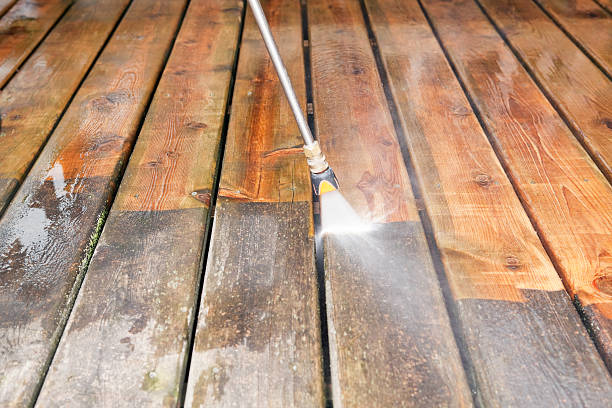 Best Soft Washing for Delicate Surfaces in Monterey Park, CA